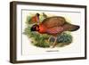 Nipaulese Horned Pheasant-Birds Of Asia-John Gould-Framed Premium Giclee Print