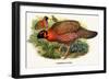 Nipaulese Horned Pheasant-Birds Of Asia-John Gould-Framed Premium Giclee Print