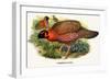 Nipaulese Horned Pheasant-Birds Of Asia-John Gould-Framed Art Print