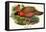 Nipaulese Horned Pheasant-Birds Of Asia-John Gould-Framed Stretched Canvas