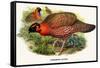 Nipaulese Horned Pheasant-Birds Of Asia-John Gould-Framed Stretched Canvas