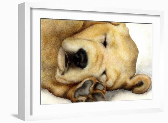 Nipper Nap-Will Bullas-Framed Giclee Print