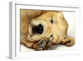 Nipper Nap-Will Bullas-Framed Giclee Print