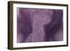 Nirvana: And, a Purple Flower Grows in the Brown Earth-Masaho Miyashima-Framed Giclee Print