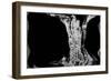 NIRVANA?Existence Appears Little by Little-Masaho Miyashima-Framed Giclee Print