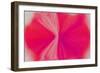 NIRVANA?Marilyn's Lip cream or Atomic Bomb-Masaho Miyashima-Framed Giclee Print