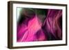 Nirvana: The Violet Flower Like a Big Window-Masaho Miyashima-Framed Giclee Print