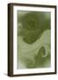 Nirvana: Today's Wind Carries a Green Smell from the South-Masaho Miyashima-Framed Giclee Print