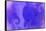 NIRVANA?Violets' Stadiums-Masaho Miyashima-Framed Stretched Canvas
