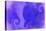 NIRVANA?Violets' Stadiums-Masaho Miyashima-Stretched Canvas