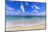 Nisbet Beach, turquoise sea, Nevis, St. Kitts and Nevis, Central America-Eleanor Scriven-Mounted Photographic Print