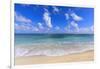 Nisbet Beach, turquoise sea, Nevis, St. Kitts and Nevis, Central America-Eleanor Scriven-Framed Photographic Print