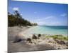 Nisbett Plantation Beach, Nevis, Caribbean-Greg Johnston-Mounted Photographic Print