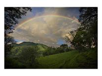 Calf with Green Field and Rainbow-Nish Nalbandian-Stretched Canvas