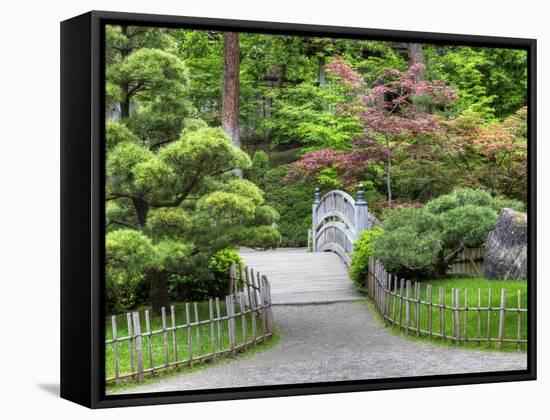 Nishinomiya Japanese Garden, Manito Park, Spokane, Washington, Usa-Jamie & Judy Wild-Framed Stretched Canvas