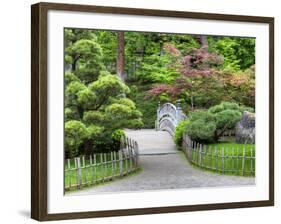 Nishinomiya Japanese Garden, Manito Park, Spokane, Washington, Usa-Jamie & Judy Wild-Framed Photographic Print