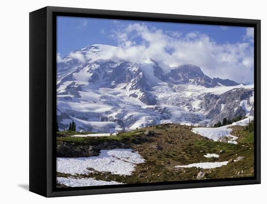 Nisqually Glacier in Foreground, with Mount Rainier, the Volcano Which Last Erupted in 1882, Beyond-Tony Waltham-Framed Stretched Canvas