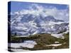 Nisqually Glacier in Foreground, with Mount Rainier, the Volcano Which Last Erupted in 1882, Beyond-Tony Waltham-Stretched Canvas