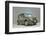 Nissan Cube 2008-Simon Clay-Framed Premium Photographic Print