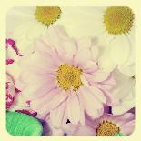 Closeup Of A Flower Bouquet With Roses, Daisies, Carnations And Other Flowers, With A Retro Effect-nito-Art Print