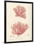 Nitophyllum greville-Henry Bradbury-Framed Giclee Print