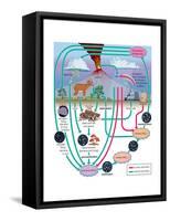 Nitrogen Cycle, Biosphere, Atmosphere, Earth Sciences-Encyclopaedia Britannica-Framed Stretched Canvas