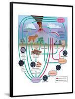 Nitrogen Cycle, Biosphere, Atmosphere, Earth Sciences-Encyclopaedia Britannica-Framed Poster