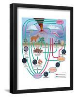 Nitrogen Cycle, Biosphere, Atmosphere, Earth Sciences-Encyclopaedia Britannica-Framed Poster