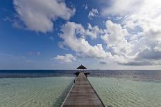 Luxury Hotel in Tropical Island-nitrogenic.com-Photographic Print