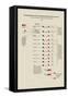 Nitrogenized and Sulphurized Principles of Food-Edward L. Youmans-Framed Stretched Canvas