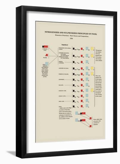 Nitrogenized and Sulphurized Principles of Food-Edward L. Youmans-Framed Art Print