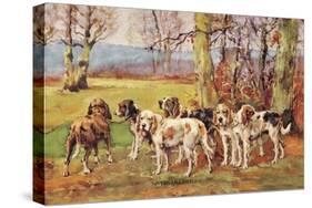 Nivernais Griffons-Baron Karl Reille-Stretched Canvas