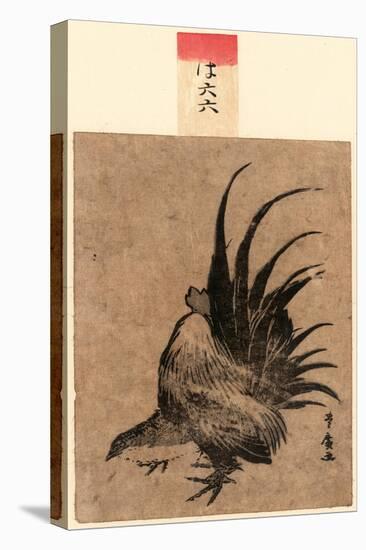 Niwatori, Chicken. [Between 1804 and 1818], 1 Print : Woodcut, Color ; 17.2 X 11.4-Utagawa Toyohiro-Stretched Canvas