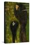Nixen, Silberfische (Water Nymphs, Silverfish), 1894-Gustav Klimt-Stretched Canvas