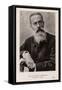 Nkolai Rimsky-Korsakov, Russian Composer-null-Framed Stretched Canvas