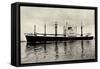 Nll, M.S. Banda, Niederländisches Dampfschiff-null-Framed Stretched Canvas