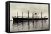 Nll, M.S. Banda, Niederländisches Dampfschiff-null-Framed Stretched Canvas