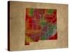 NM Colorful Counties-Red Atlas Designs-Stretched Canvas