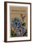 Brown Frame