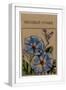 White Frame