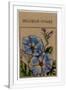 Gramercy White