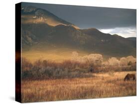 Nm, Taos, Sangre Christo Mountains-Walter Bibikow-Stretched Canvas