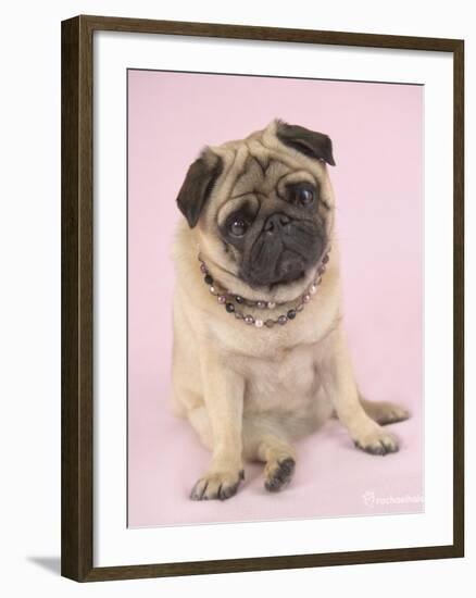 Nmilo-Rachael Hale-Framed Art Print