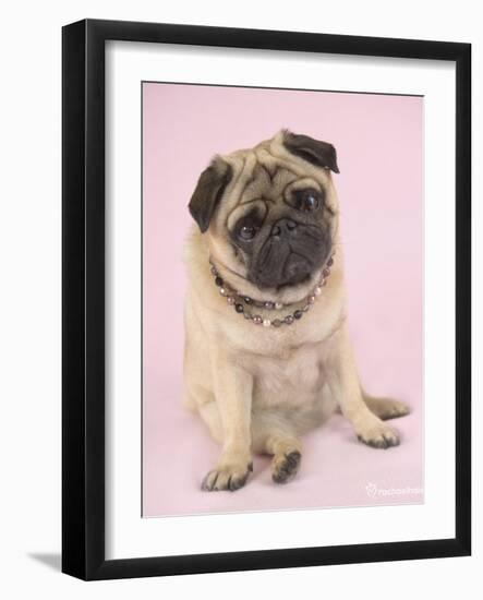 Nmilo-Rachael Hale-Framed Art Print