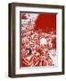No.1 Complex-Diana Ong-Framed Giclee Print