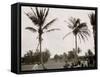 No. 1 Tee, Golf Links, Palm Beach, Fla.-null-Framed Stretched Canvas