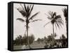 No. 1 Tee, Golf Links, Palm Beach, Fla.-null-Framed Stretched Canvas