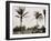 No. 1 Tee, Golf Links, Palm Beach, Fla.-null-Framed Photo