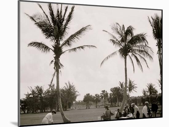 No. 1 Tee, Golf Links, Palm Beach, Fla.-null-Mounted Photo