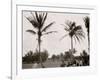 No. 1 Tee, Golf Links, Palm Beach, Fla.-null-Framed Photo